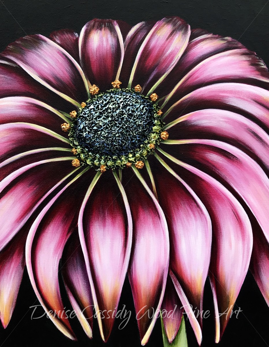 African Daisy #624 by Denise Cassidy Wood 