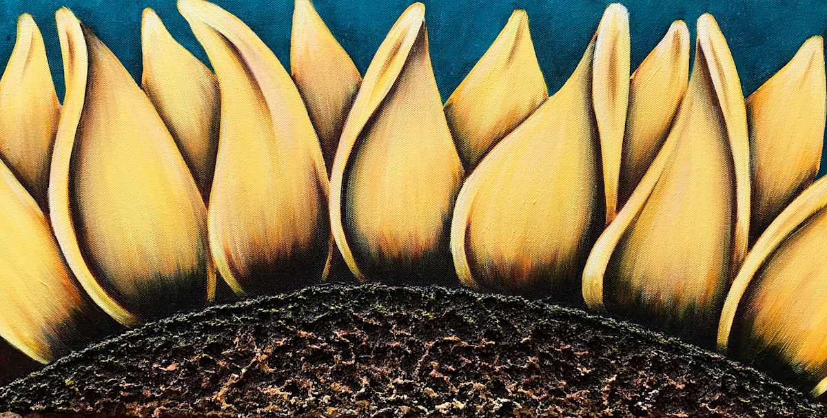 Sunflower #686 by Denise Cassidy, Image 1.