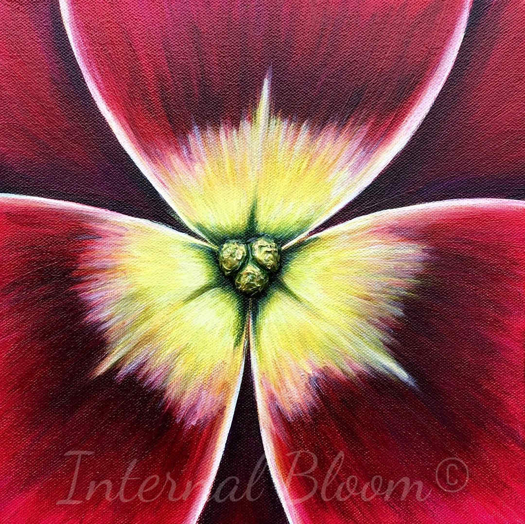Hydrangea by Denise Cassidy, Image 1.