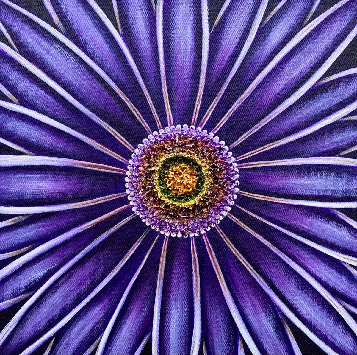 Purple Mum #1235 by Denise Cassidy, Image 3.