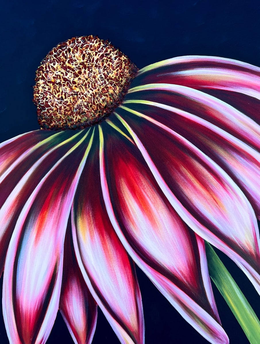 Cone Flower #582 by Denise Cassidy, Image 3.