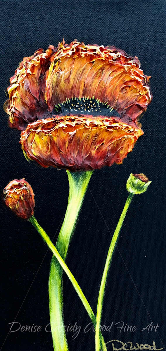 Orange Poppy #749 by Denise Cassidy, Image 2.