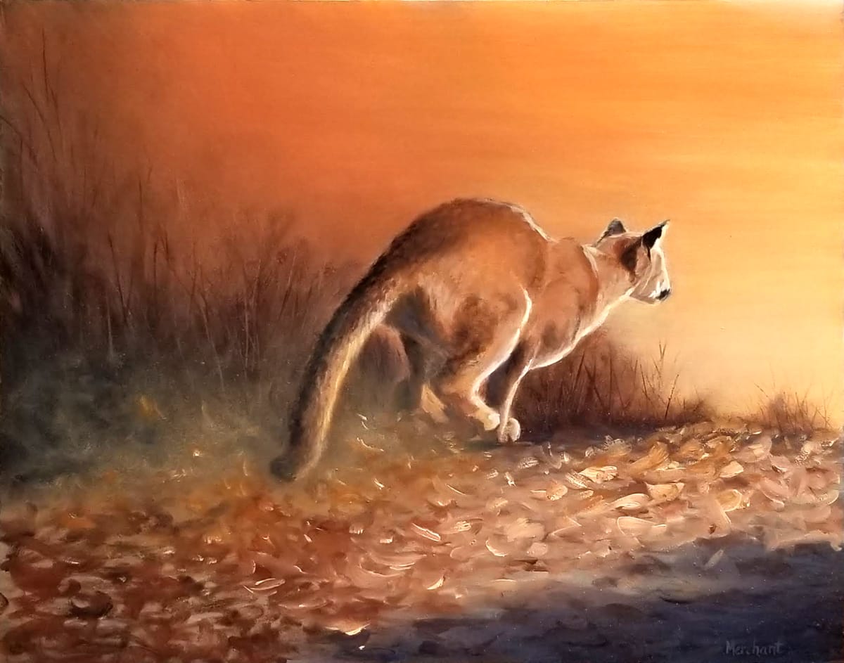 Chasing the Sun - Cougar - SOLD by Linda Merchant Pearce 