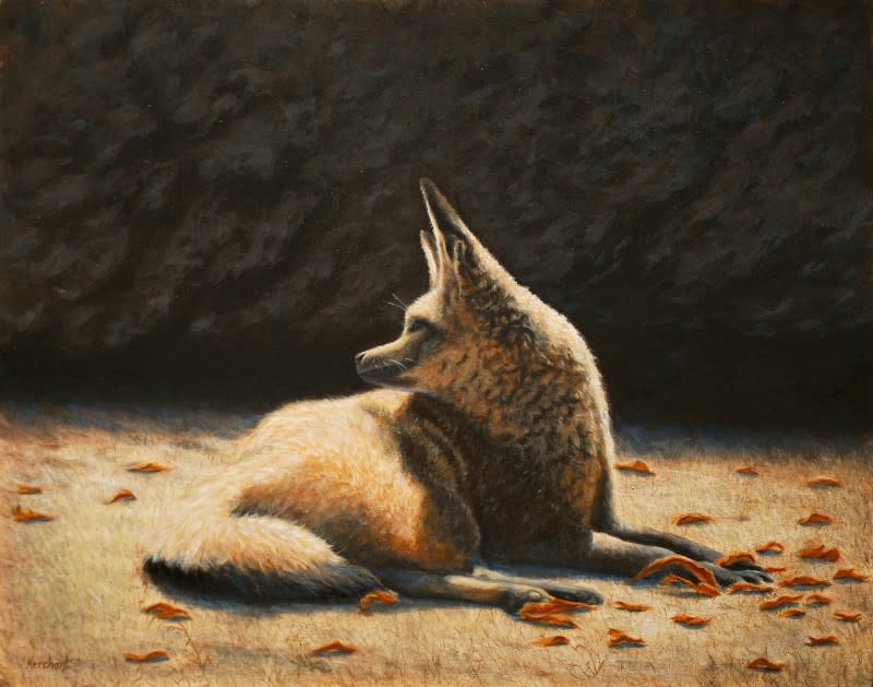 Sunny Spot - Bat-Eared Fox SOLD by Linda Merchant Pearce 