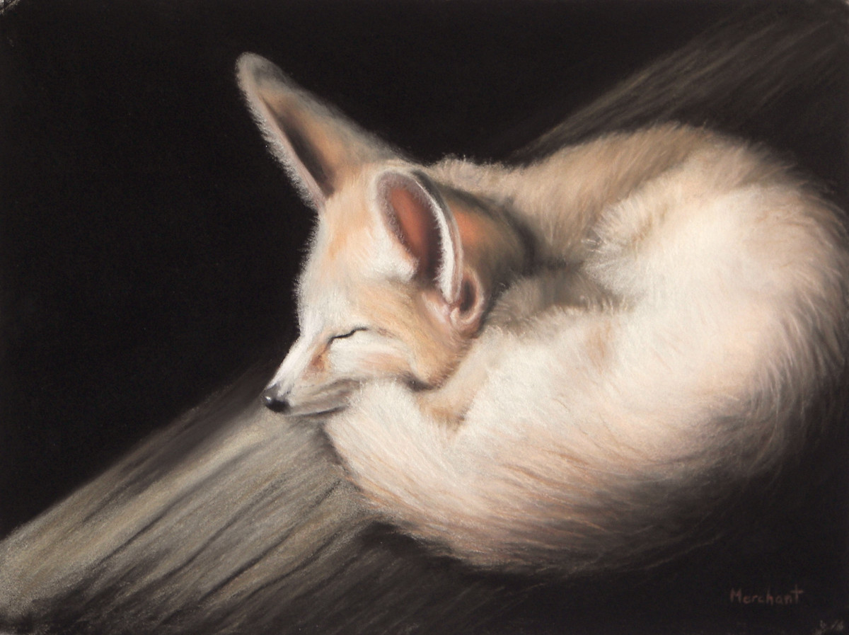 Kit Fox by Linda Merchant Pearce 