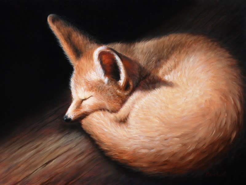 Fennec Fox by Linda Merchant Pearce 