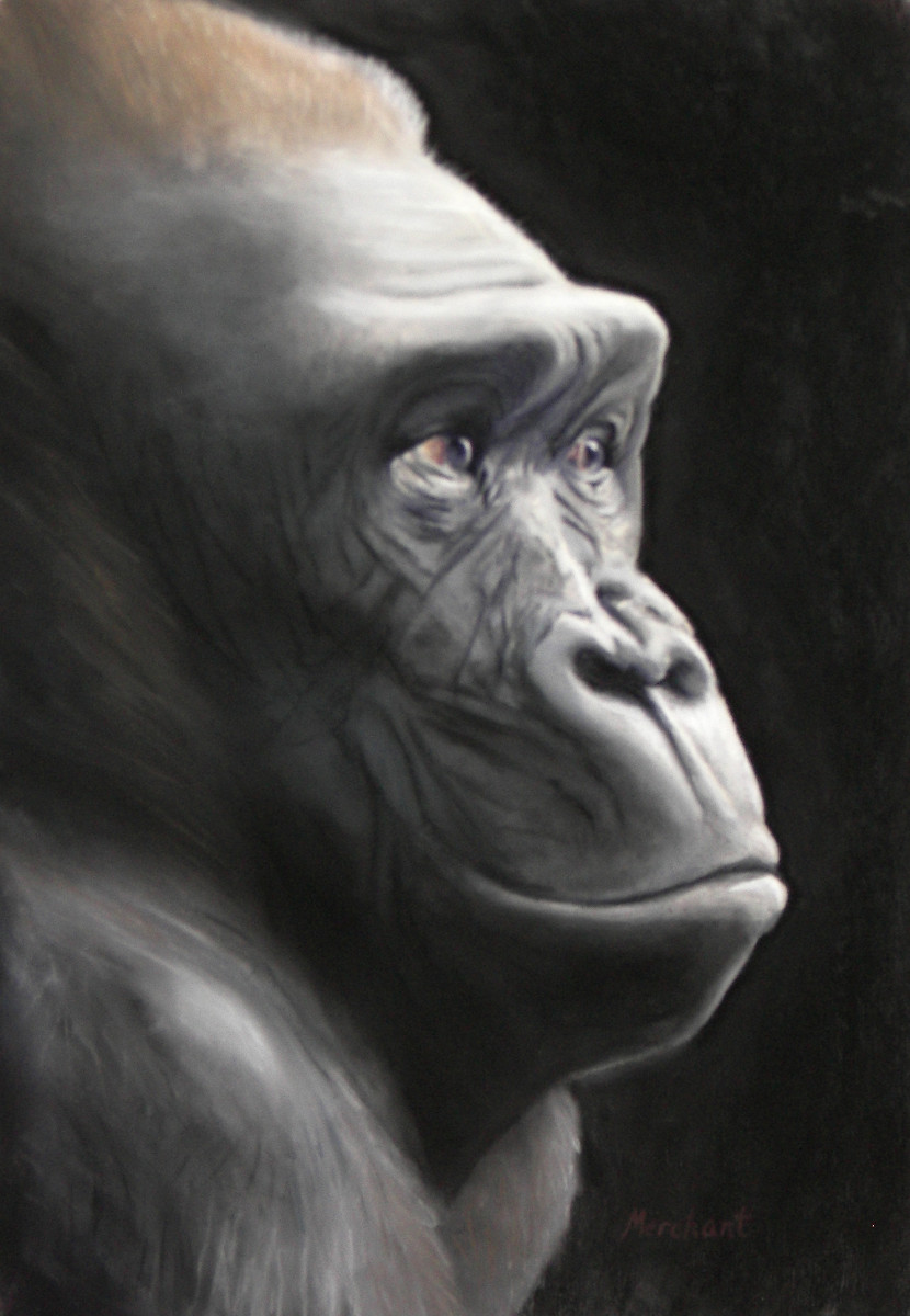 Wise One - Gorilla SOLD by Linda Merchant Pearce 