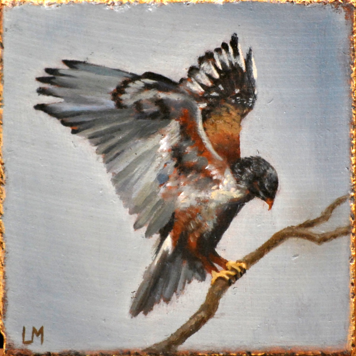 Redtail Hawk Tile by Linda Merchant Pearce 