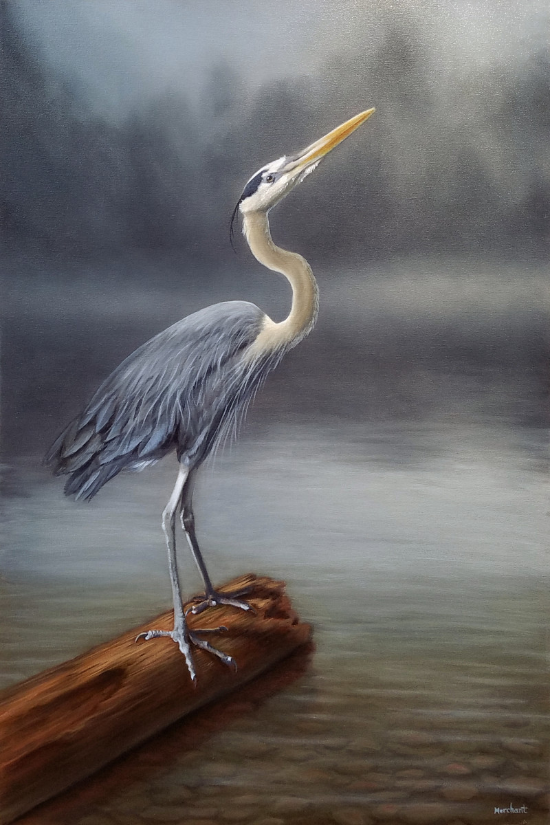 Blue Heron by Linda Merchant Pearce 