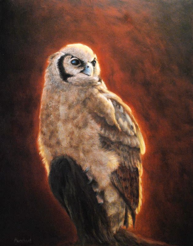 Verreaux's Eagle Owl SOLD by Linda Merchant Pearce 