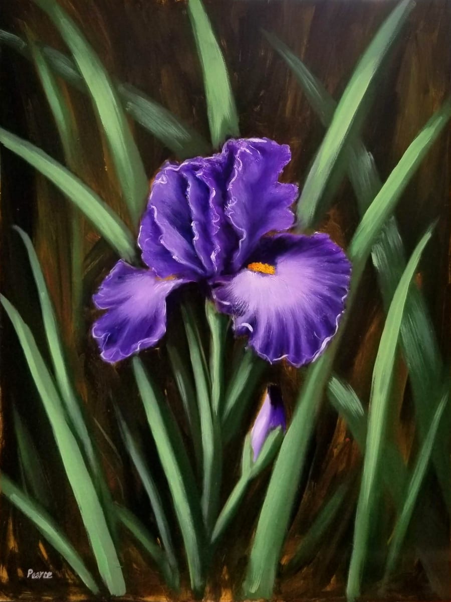 Purple Iris - AVAILABLE by Linda Merchant Pearce 