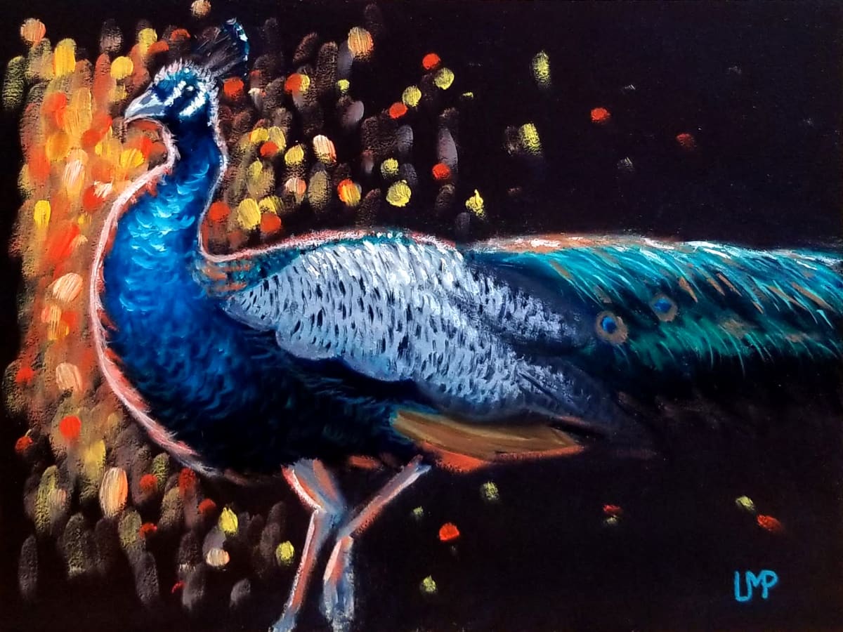 Star of the Show - Peacock by Linda Merchant Pearce 