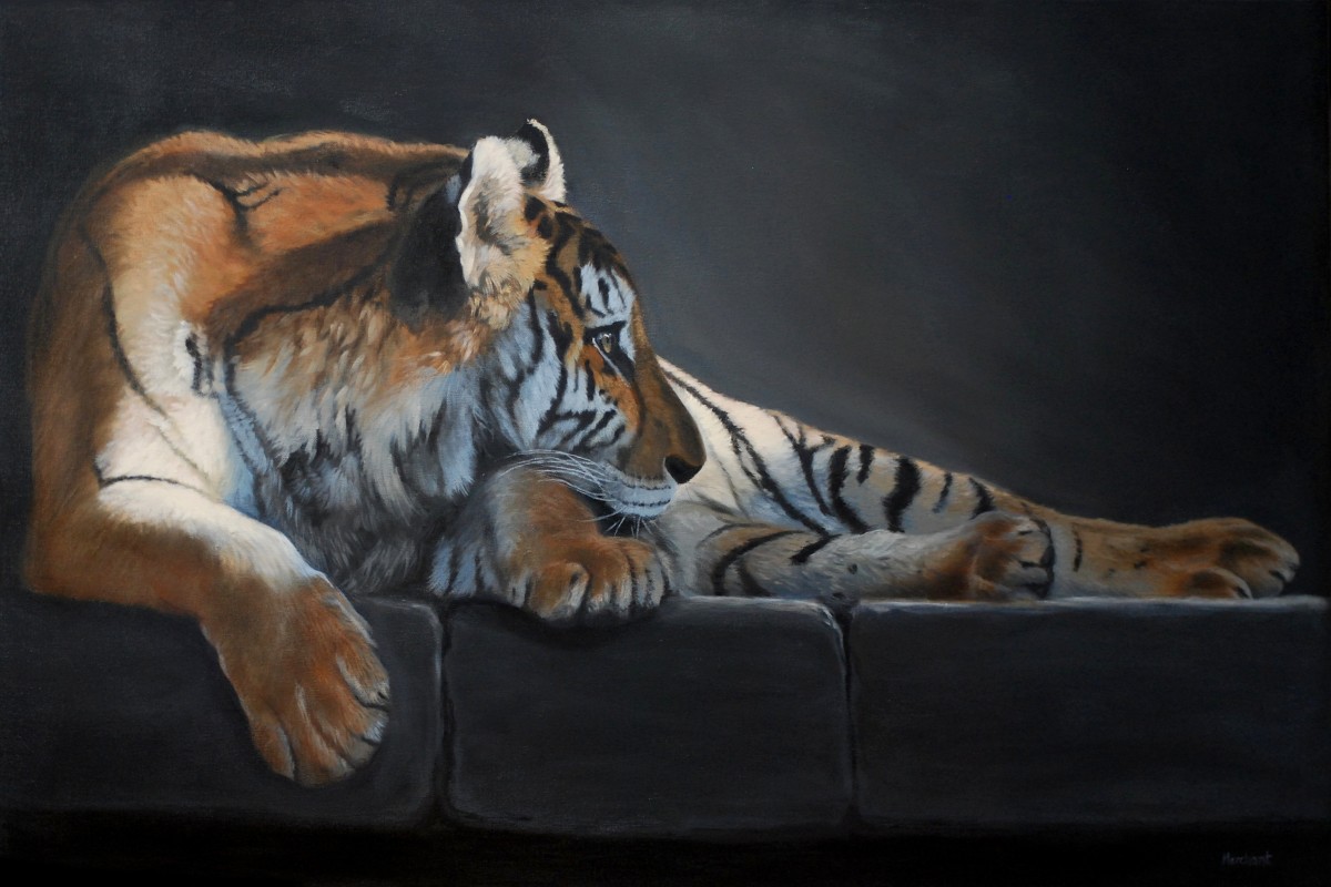 Dreaming of Home - Tiger AVAILABLE by Linda Merchant Pearce 