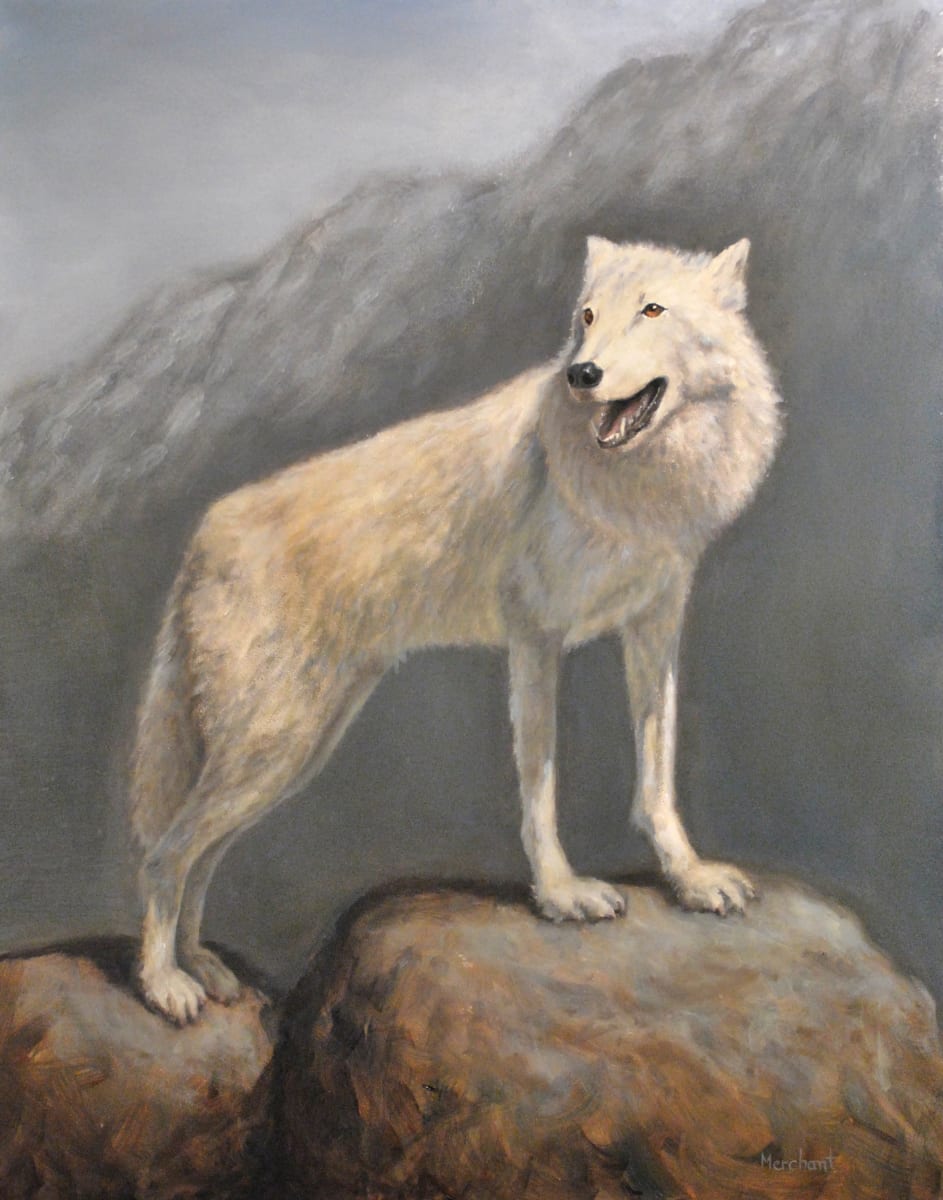 King of the Mountain - White Wolf by Linda Merchant Pearce 