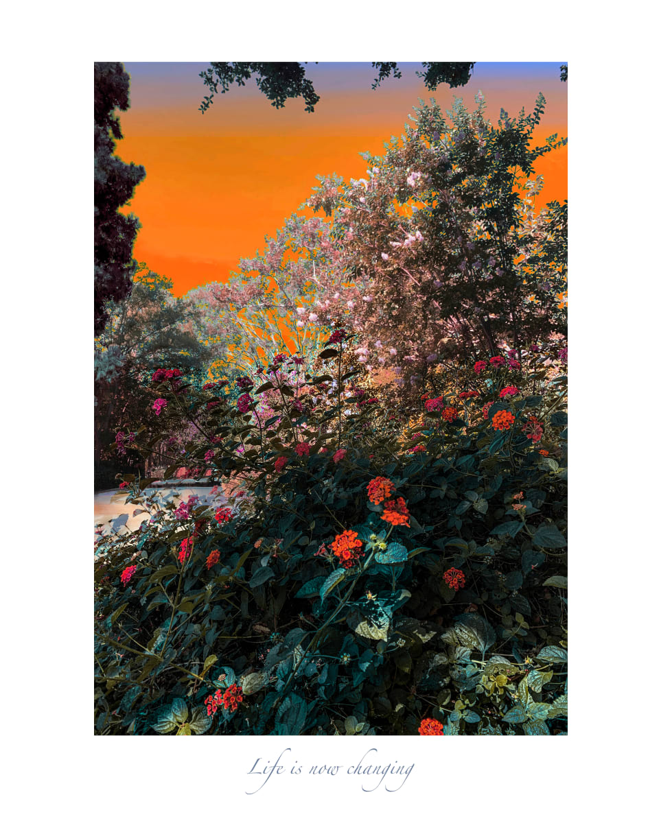 Life is now changing 