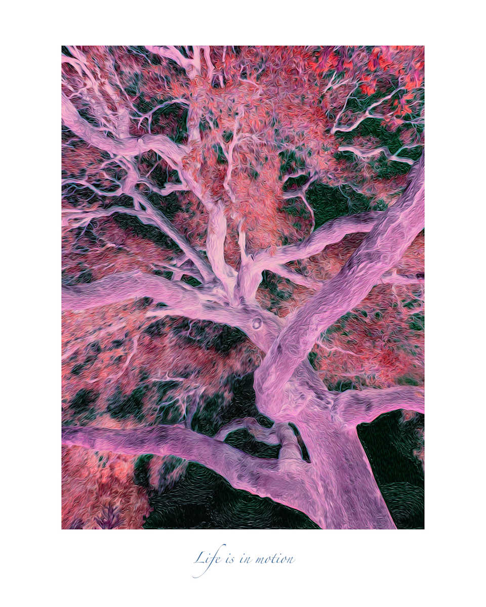 Life is in motion, Image 1.