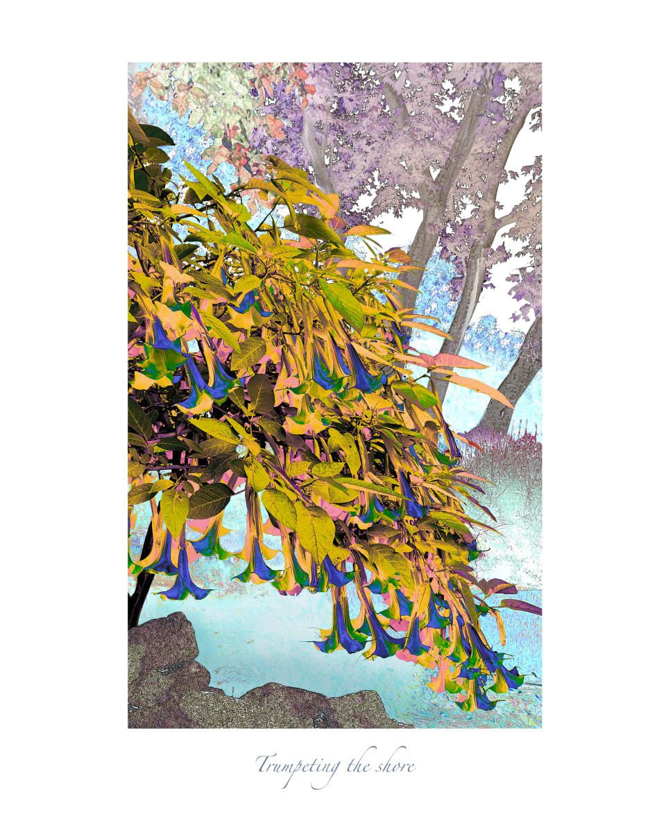 Trumpeting the shore 