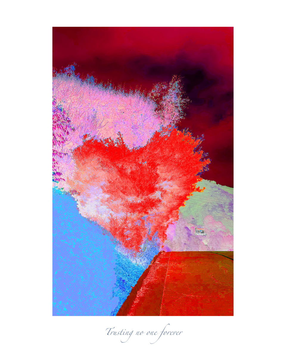 Trusting no one forever 