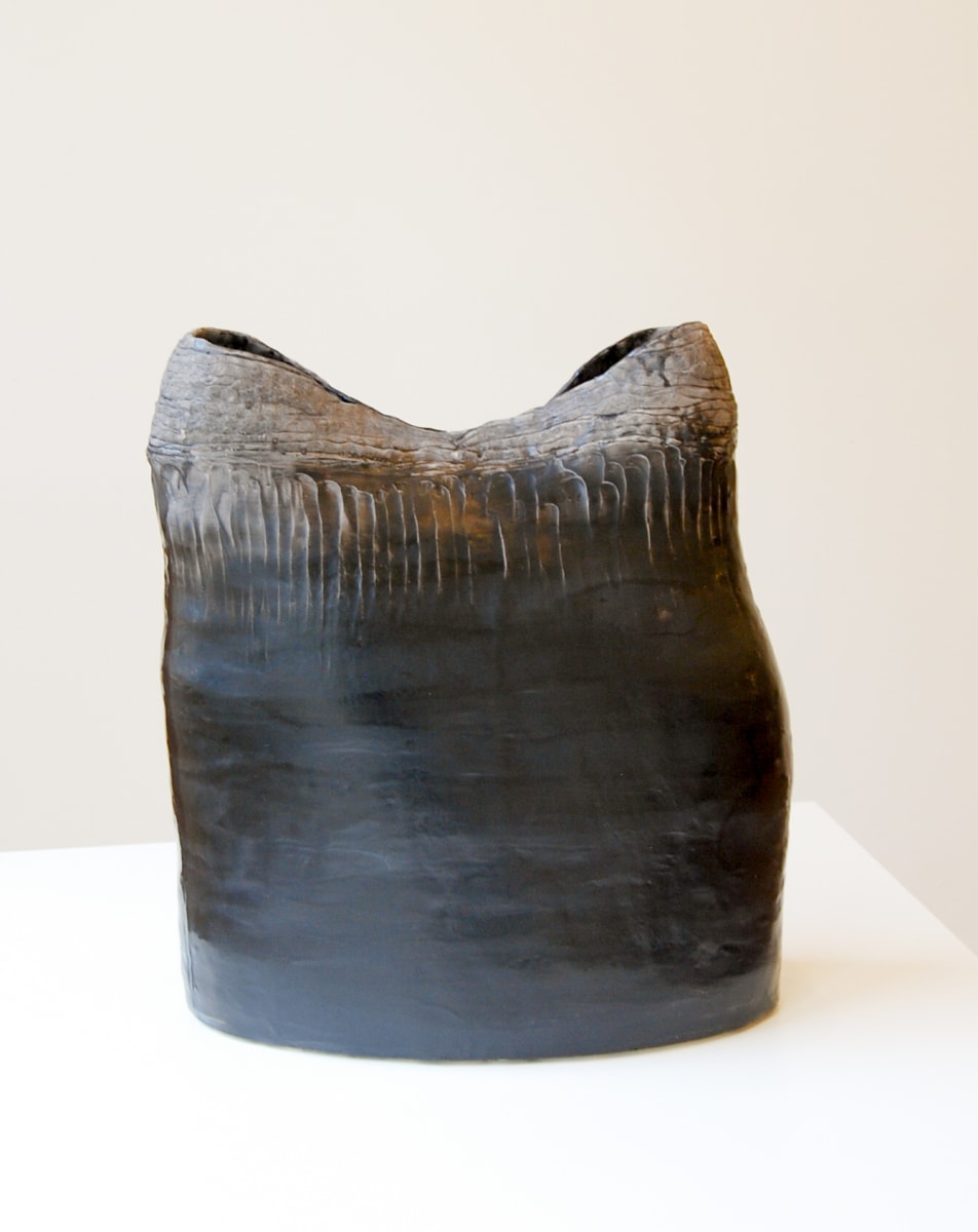 INTEGUMENT 4 by STEPHANIE HARGRAVE, Image 4.