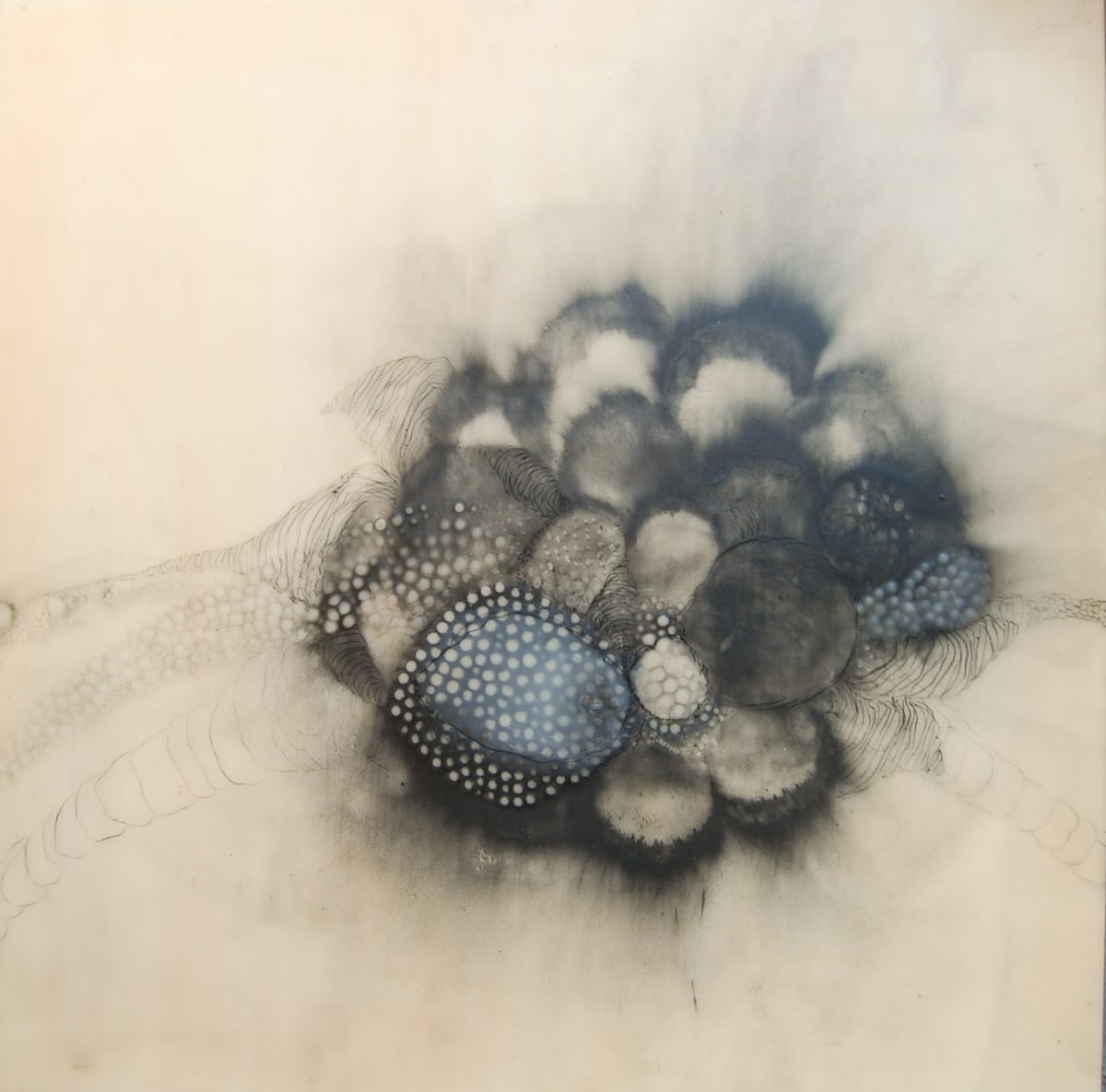 BELLOW 2 by Stephanie Hargrave 