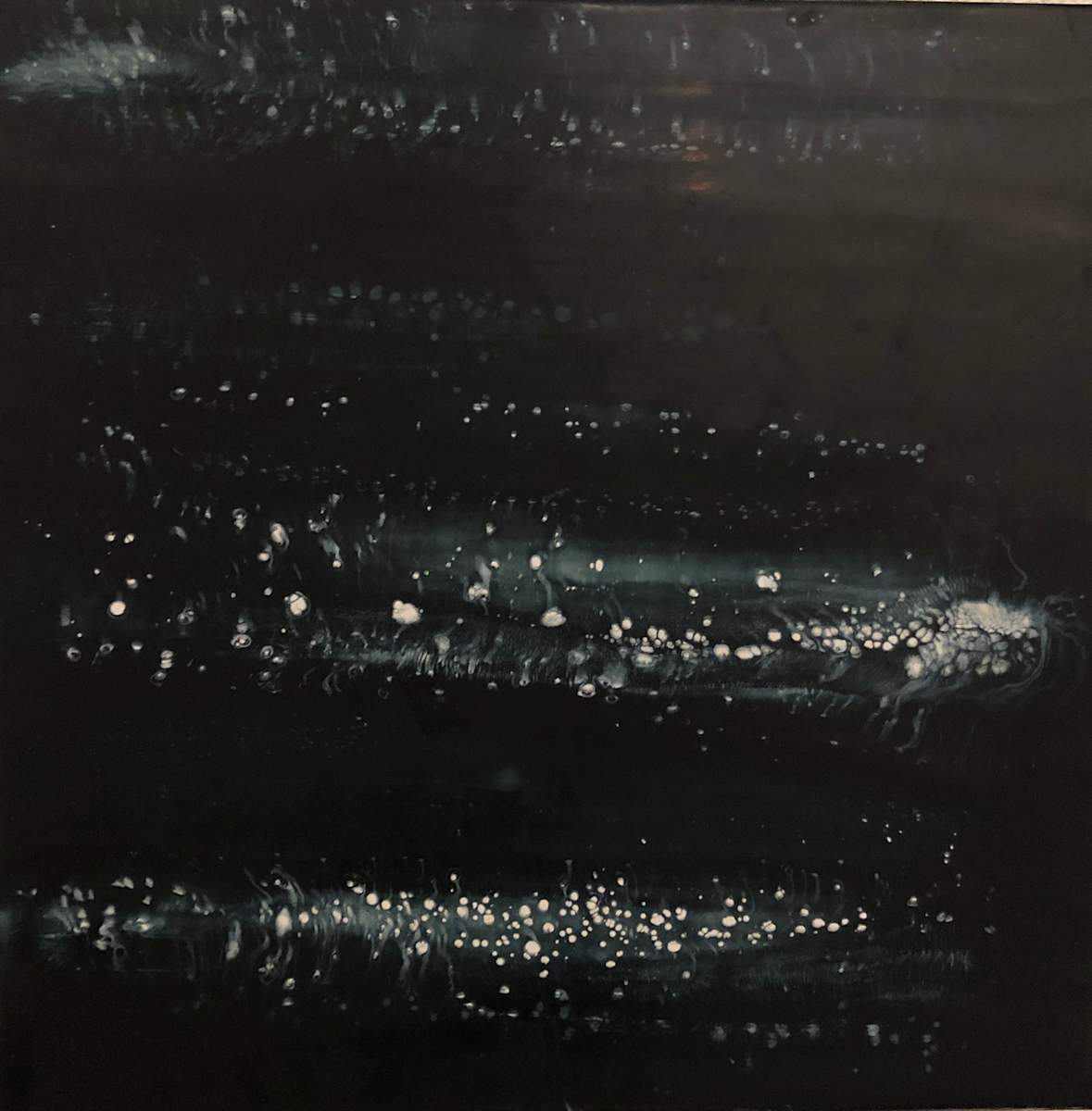 CHEMILUMINESCENCE 2 by STEPHANIE HARGRAVE, Image 1.