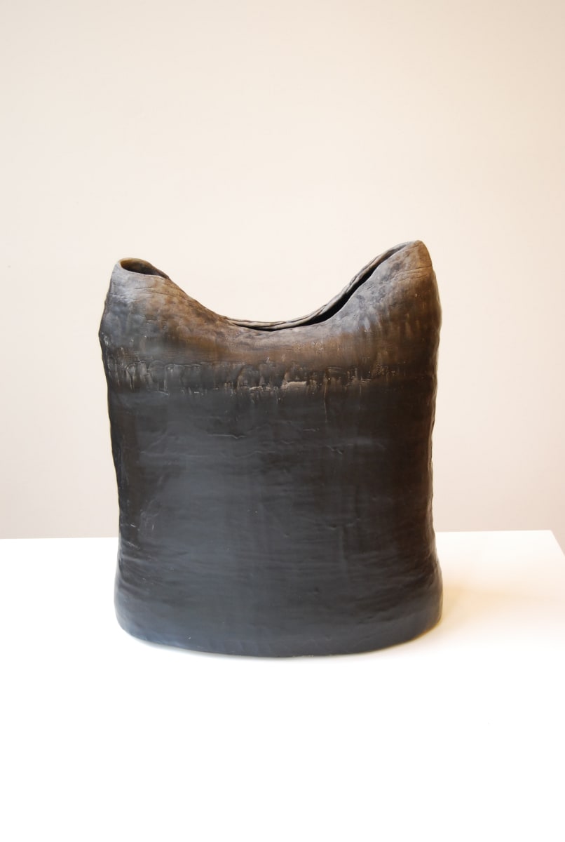 INTEGUMENT 6 by STEPHANIE HARGRAVE, Image 1.