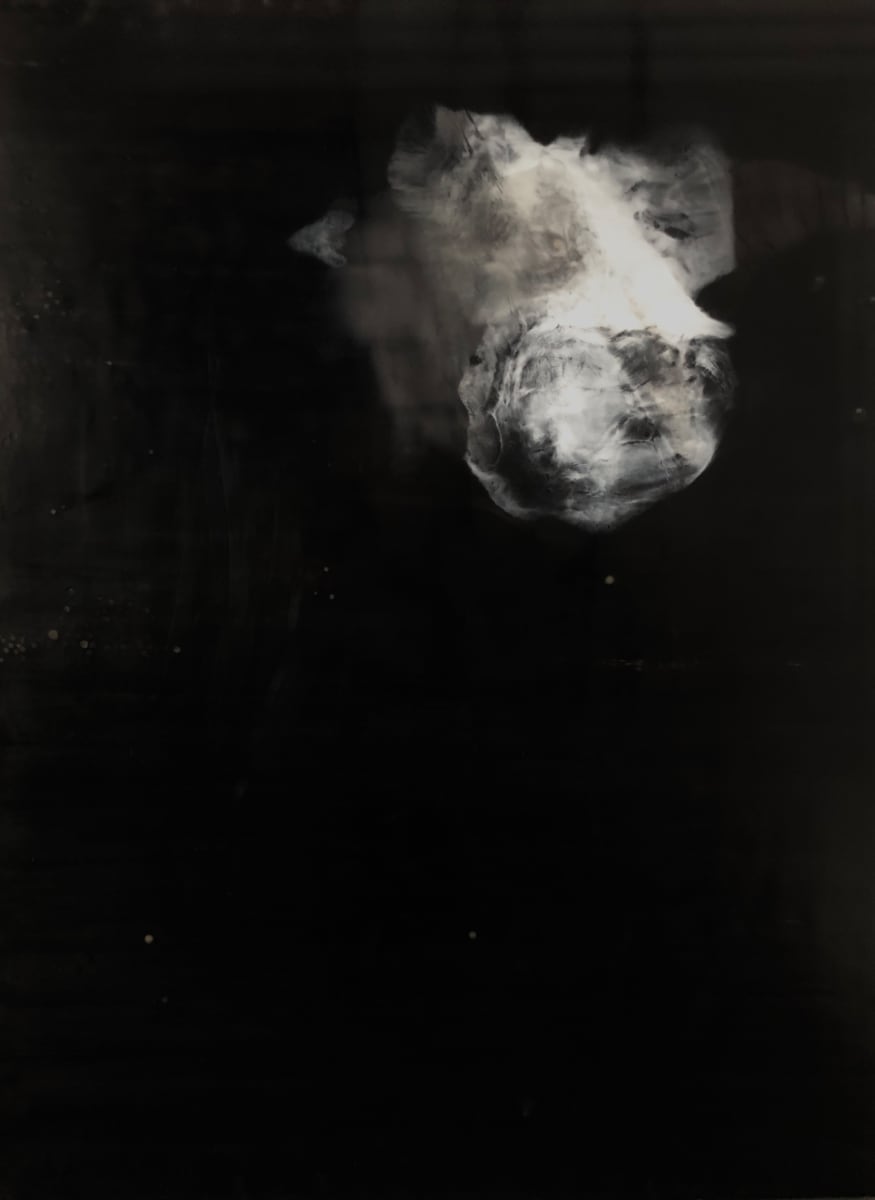 HYBRID 16 by Stephanie Hargrave, Image 2.