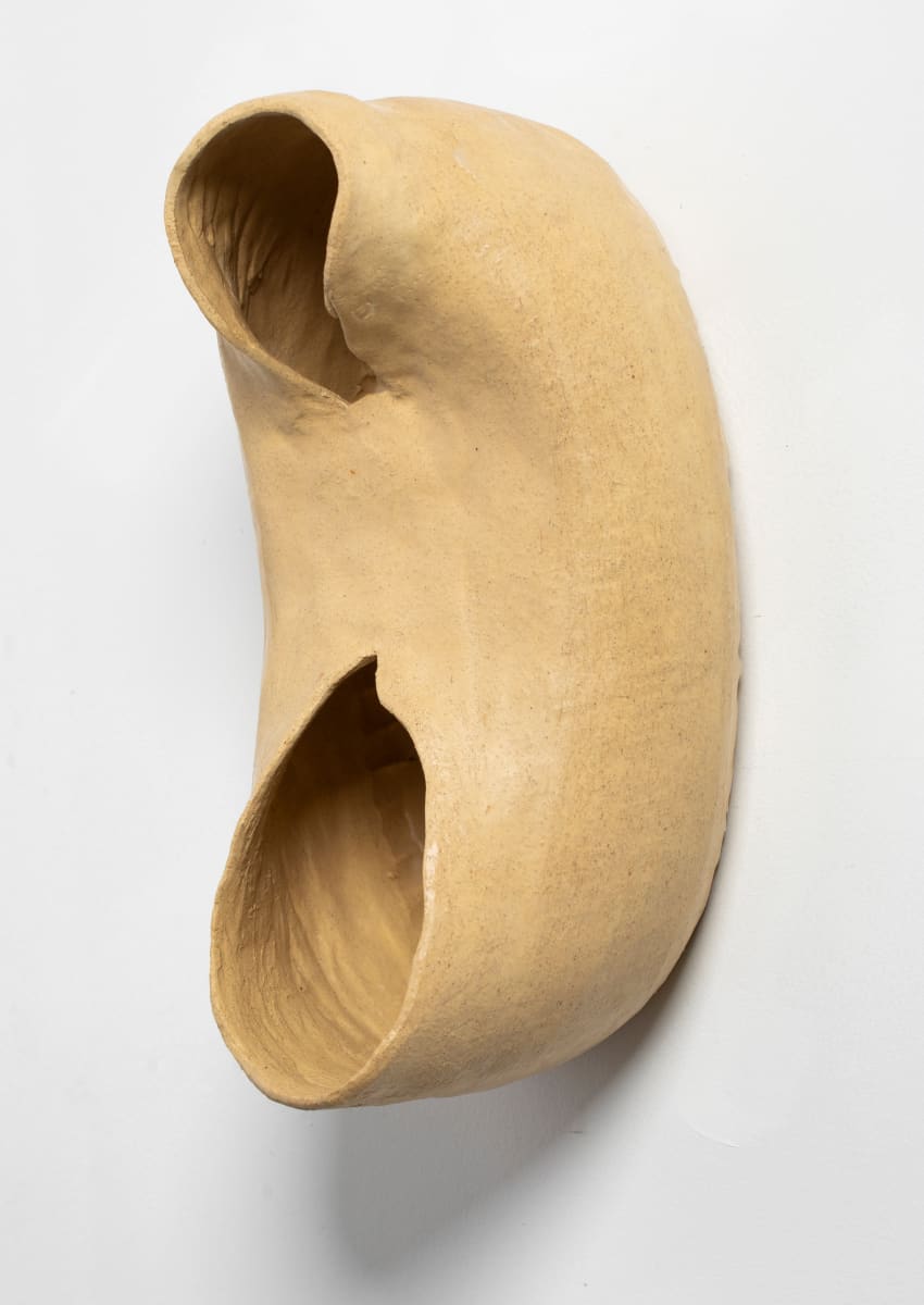 CUCULLUS 1 by Stephanie Hargrave 