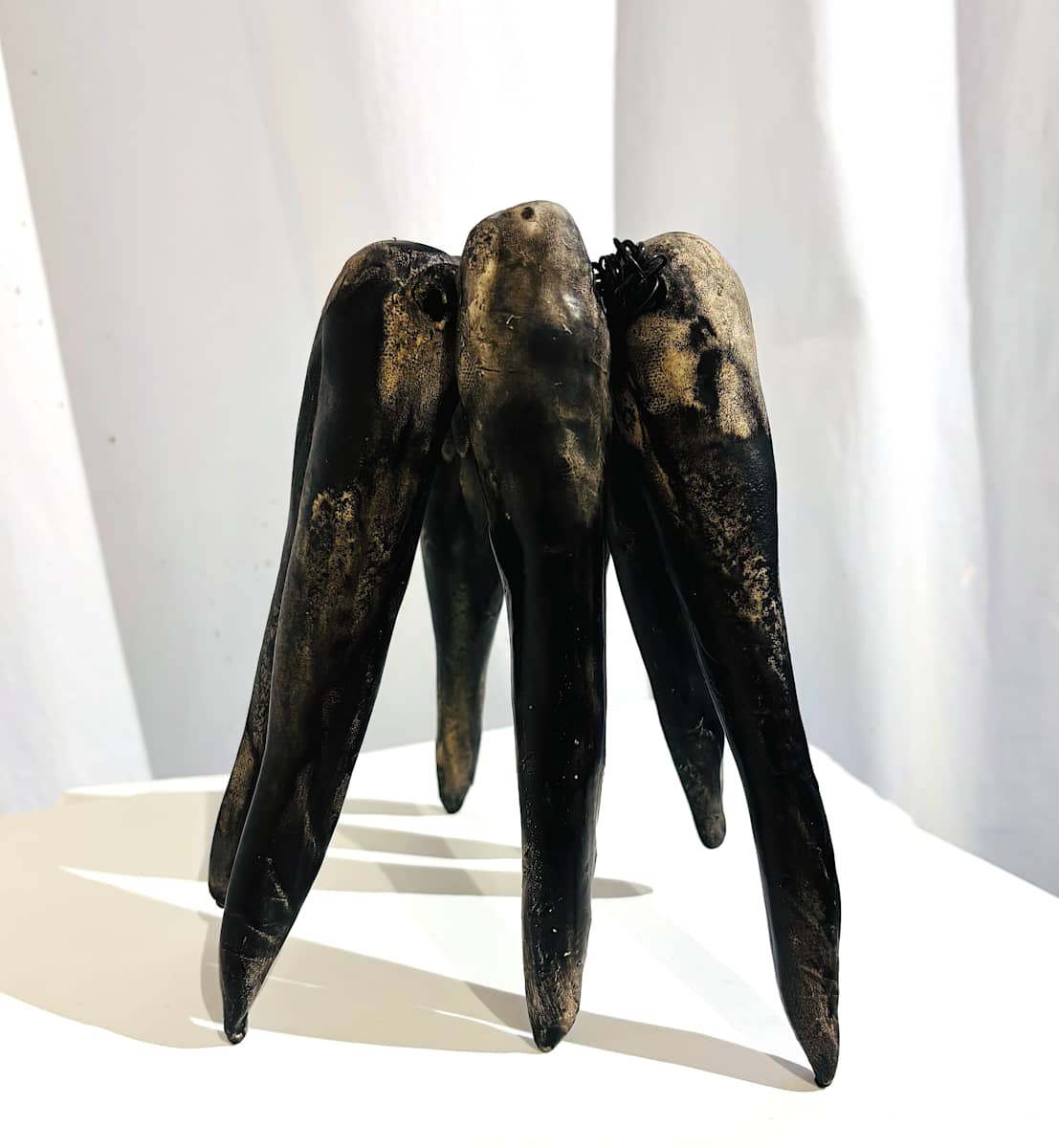 CUTTLE by STEPHANIE HARGRAVE, Image 3.