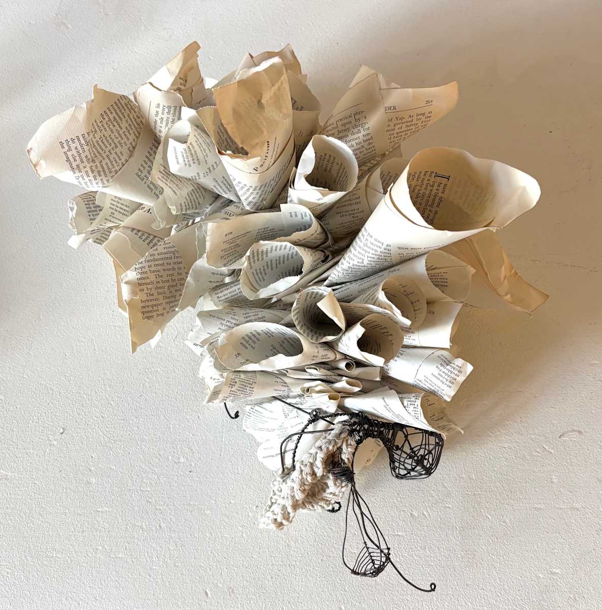 SIPHONOPHORA 3 by STEPHANIE HARGRAVE 