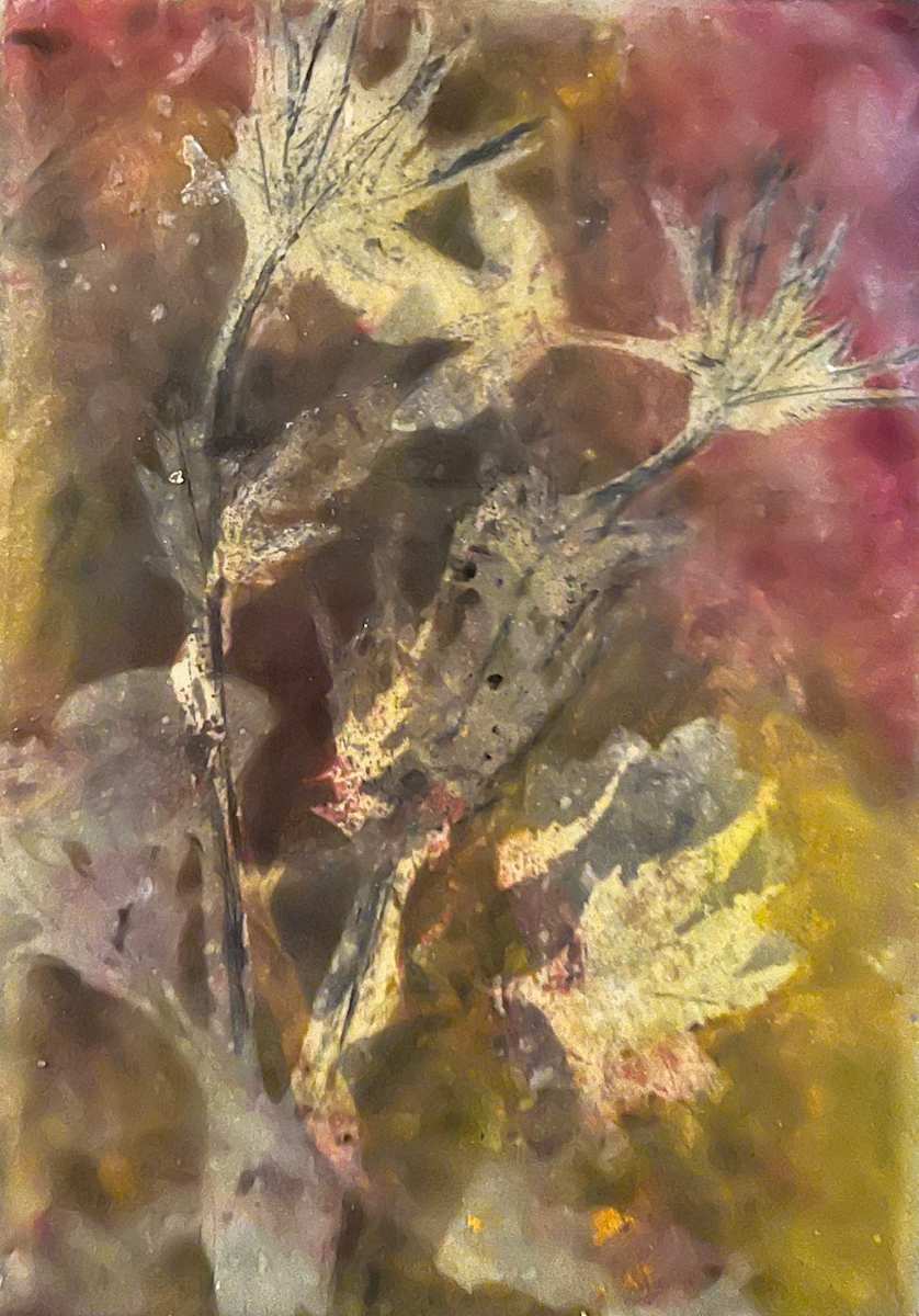 Jean Gorecki:  TREASURES by STEPHANIE HARGRAVE 