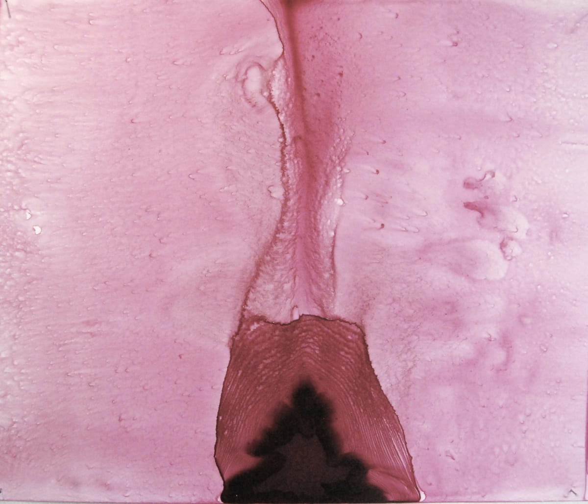 MEDULLA 3 by STEPHANIE HARGRAVE, Image 1.