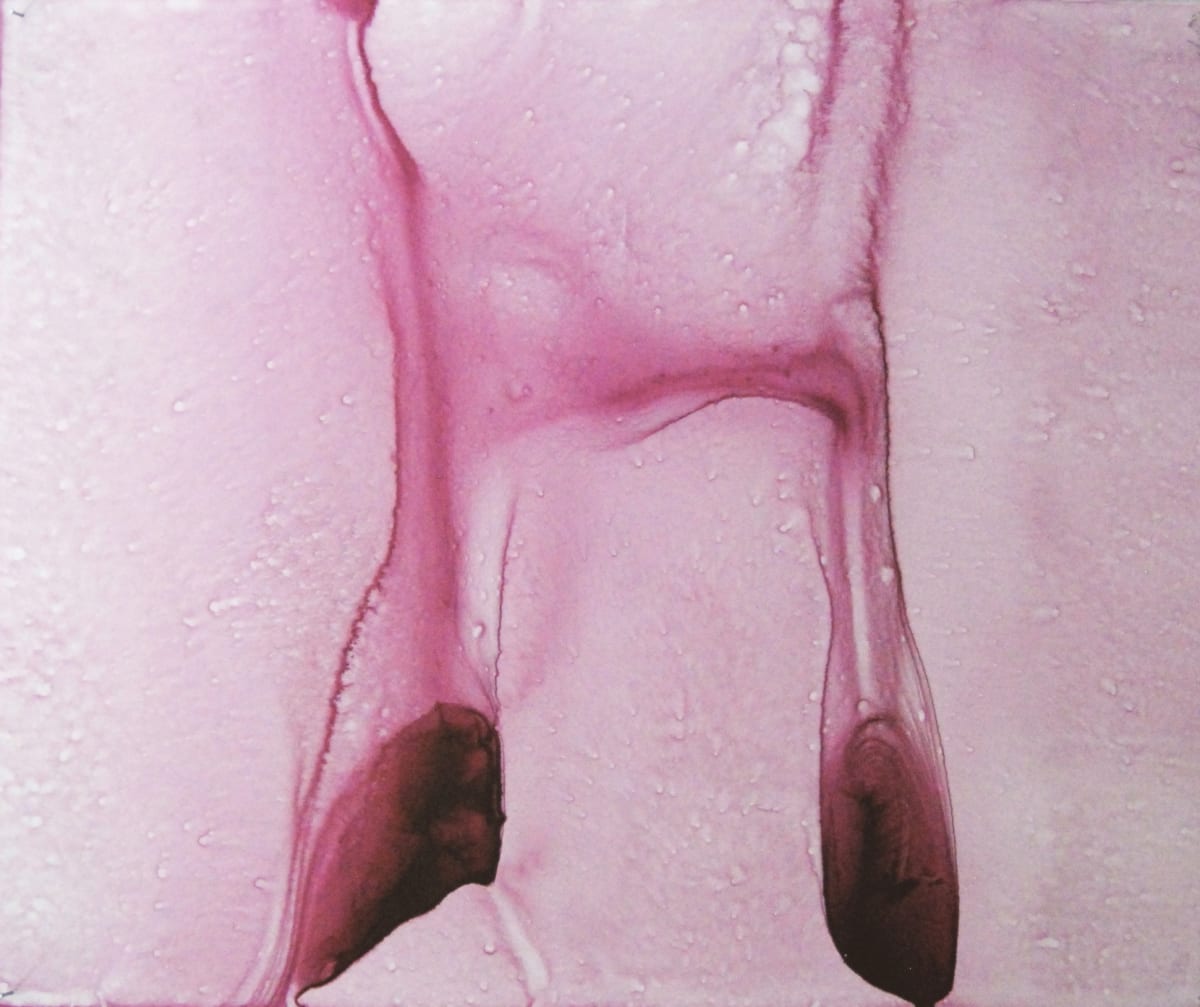 MEDULLA 1 by STEPHANIE HARGRAVE, Image 1.