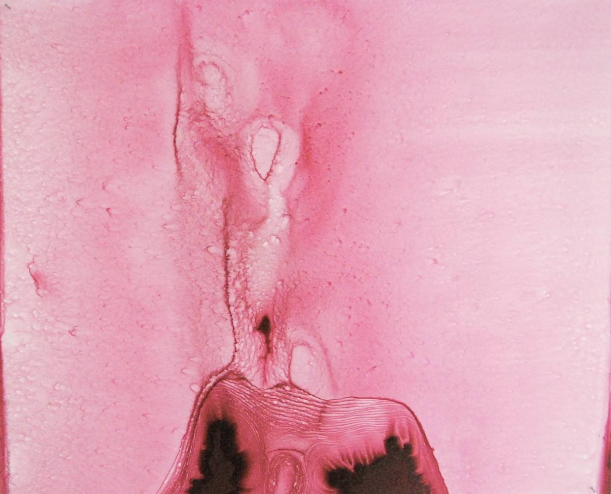 MEDULLA 2 by STEPHANIE HARGRAVE, Image 1.