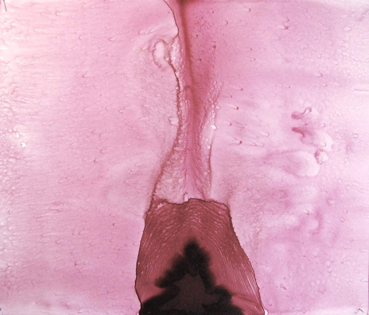 MEDULLA 3 by STEPHANIE HARGRAVE, Image 1.