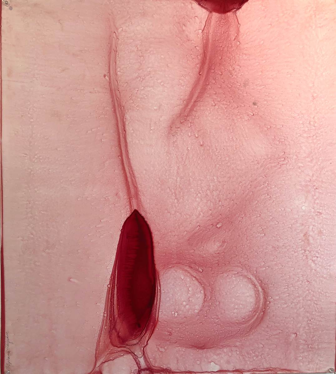 MEDULLA 4 by STEPHANIE HARGRAVE, Image 1.