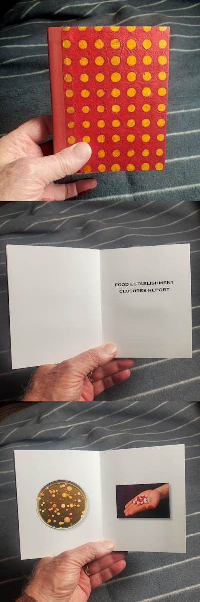 Michael Sobel:  FOOD ESTABLISHMENT CLOSURE REPORT by STEPHANIE HARGRAVE 