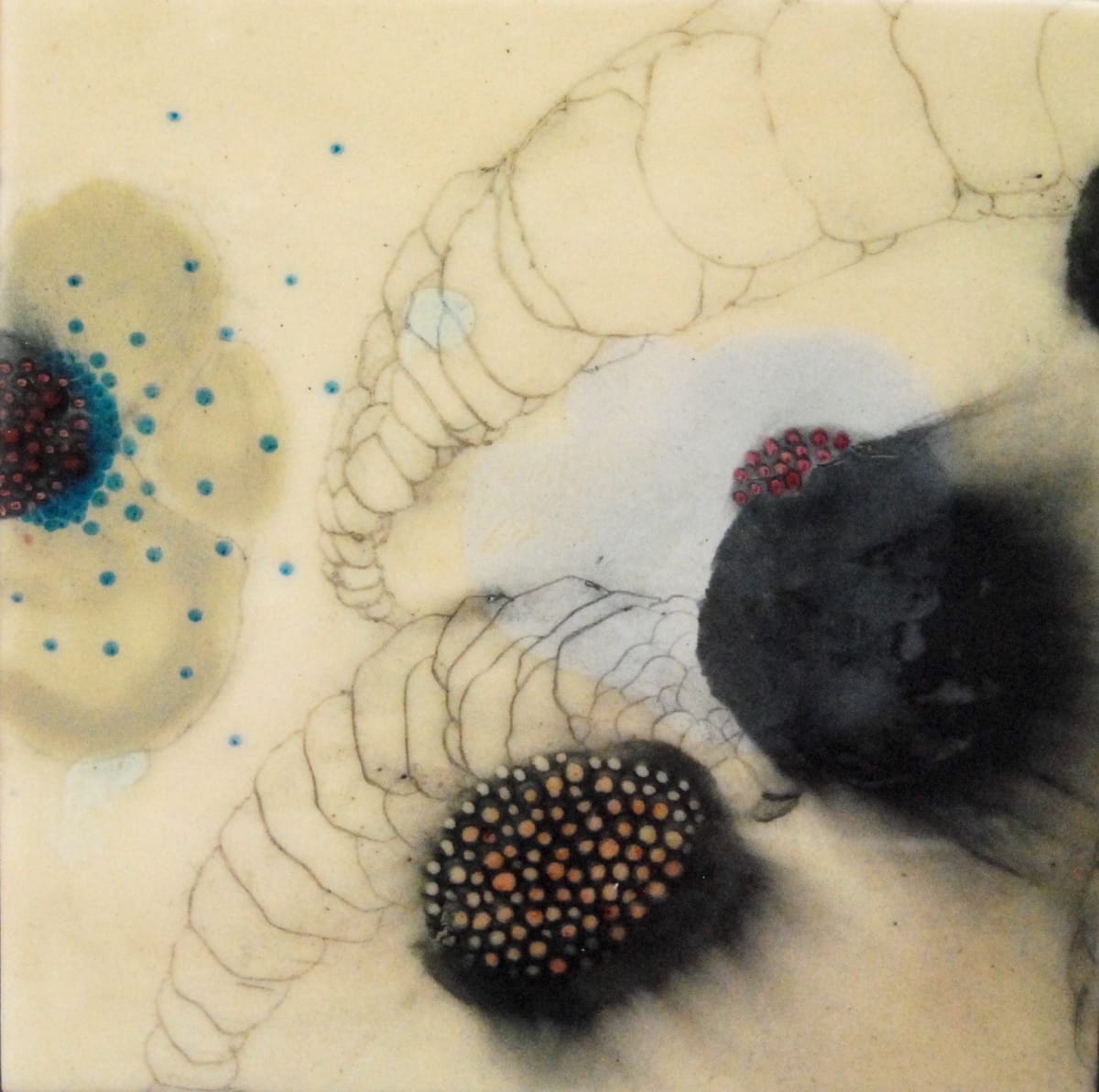 ORBITA 5 by Stephanie Hargrave 
