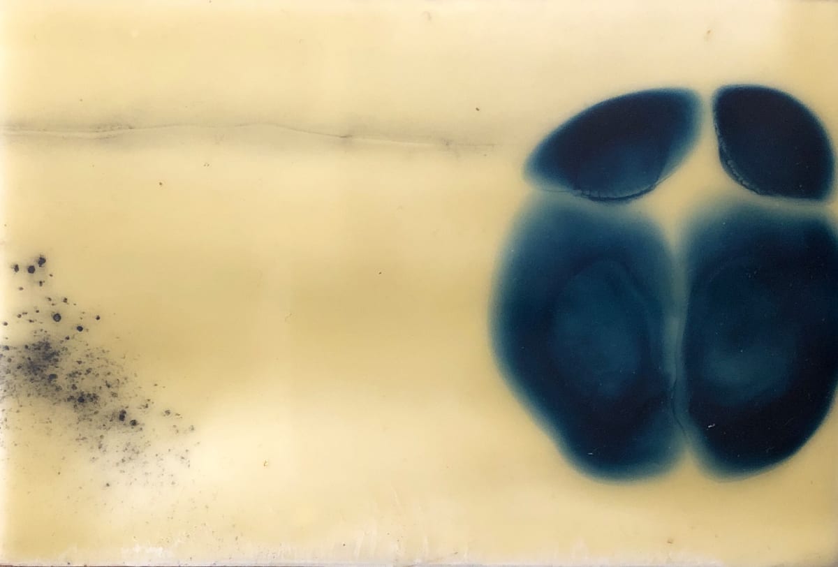 PRUSSIAN CELLS 1 by Stephanie Hargrave 