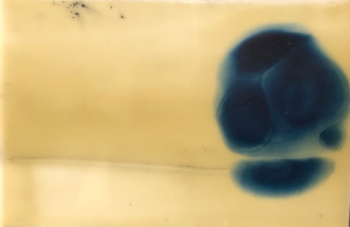 PRUSSIAN CELLS 2 by Stephanie Hargrave 