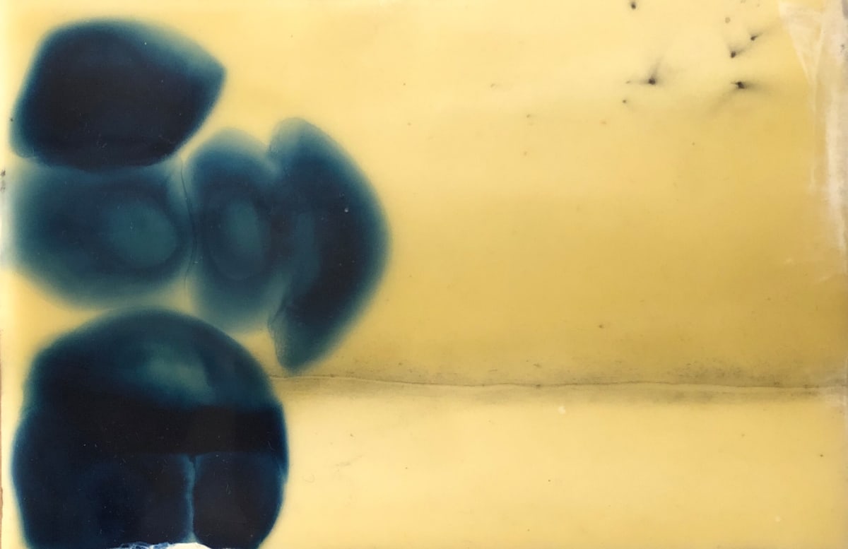 PRUSSIAN CELLS 3 by Stephanie Hargrave 