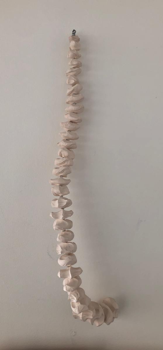 SPINE (frost white no 1) by STEPHANIE HARGRAVE 