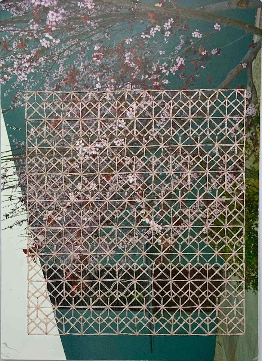 Iris Guy Sofer:  PINK BLOSSOM by STEPHANIE HARGRAVE, Image 1.