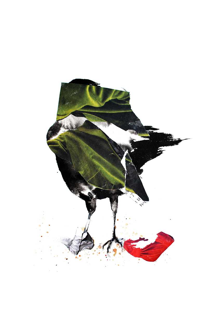 Crow by Nina Fraser, Image 1.
