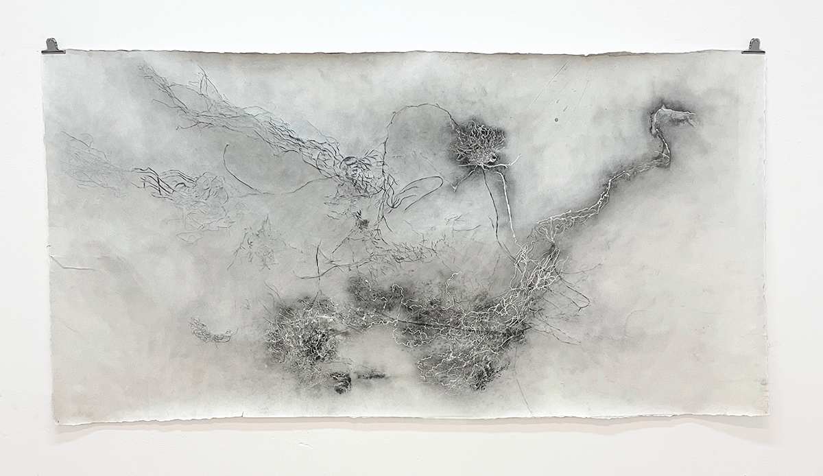 Entre raízes by Nina Fraser, Image 8.