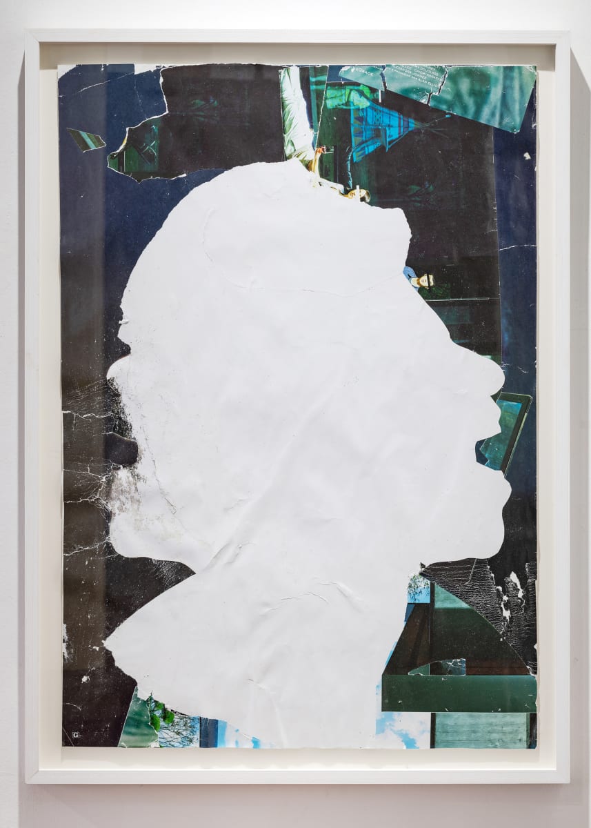 04_information // illumination by Nina Fraser, Image 1.