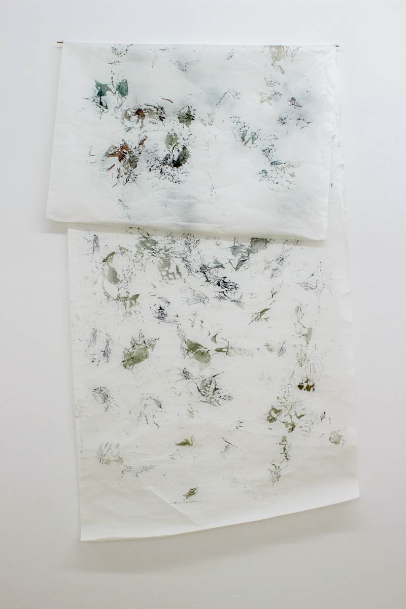 Winter leaves (folhas de inverno) by Nina Fraser 