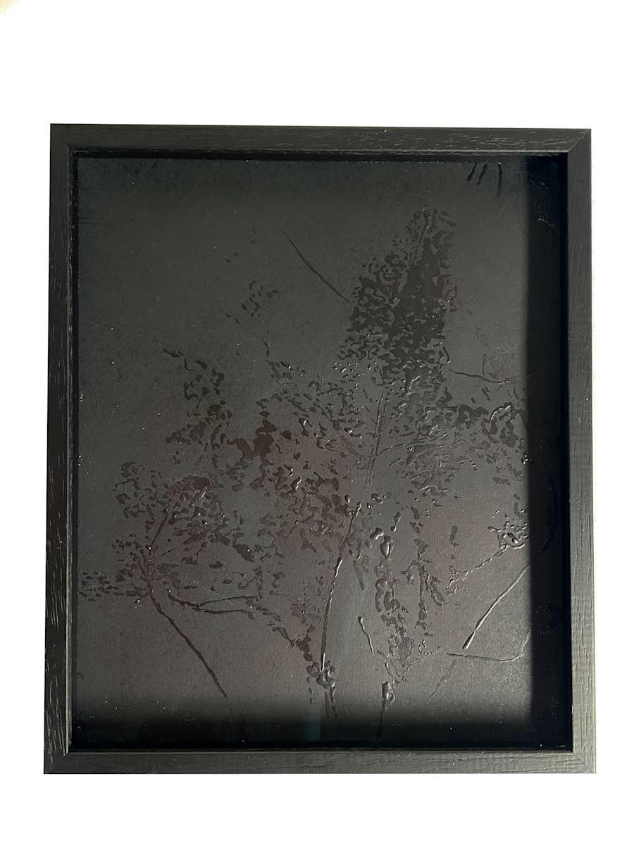 Leaves in black by Nina Fraser 