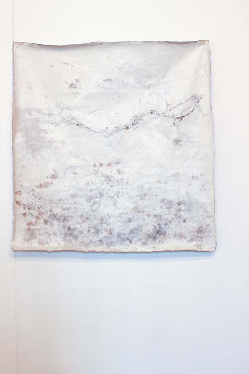 hyphae by Nina Fraser 