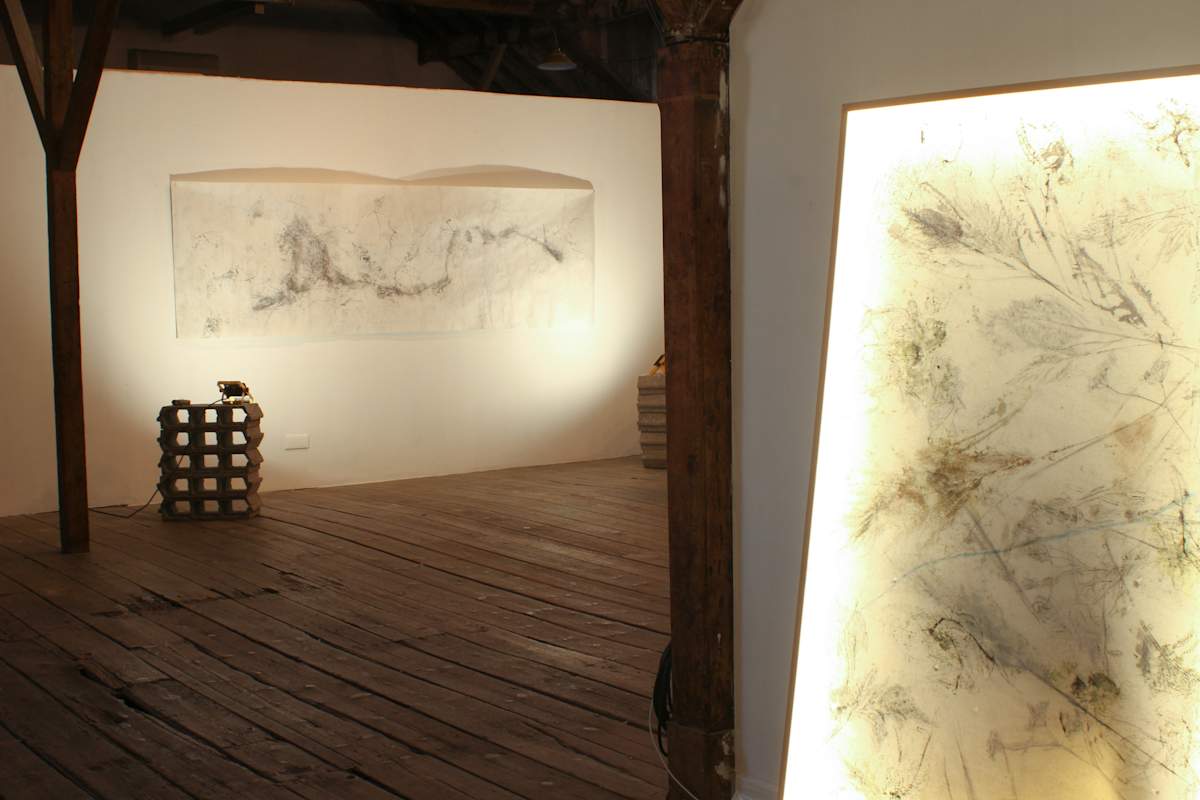 Deliquesce exhibition by Nina Fraser 